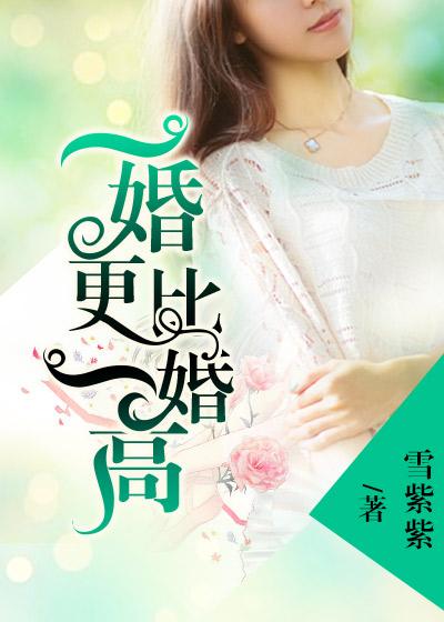 一婚更比一婚高夏真钰免费阅读