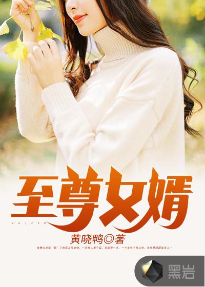 至尊女婿叶辰全本免费阅读笔趣阁