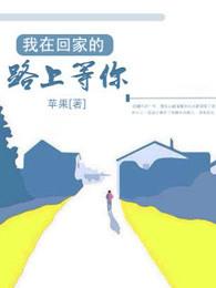 我在回家的路上 歌词