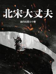 北宋大丈夫精校txt