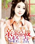 亲亲总裁轻点宠