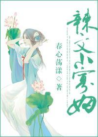 辣文小寡妇阅读