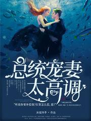 总统宠妻很上瘾无弹窗