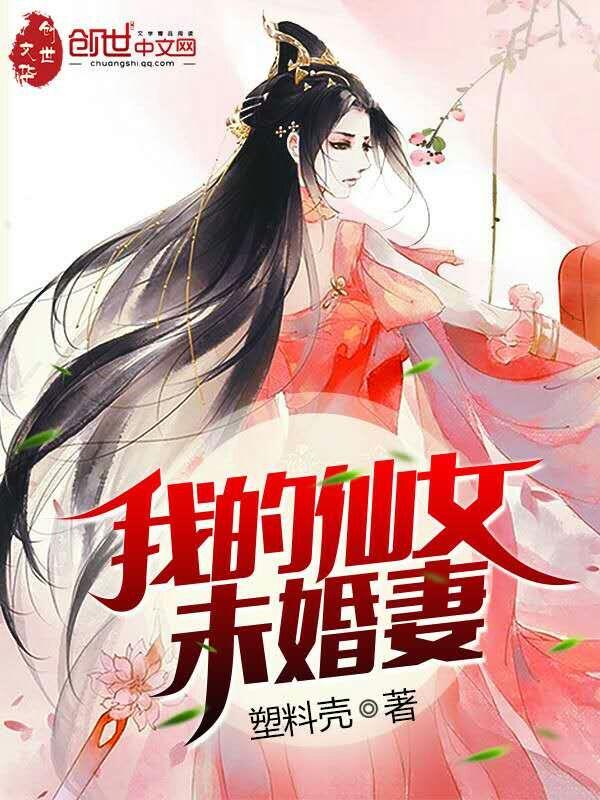 我的仙女未婚妻评价