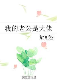 我的老公是大佬推荐