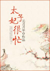 太子妃很忙暮芸汐免费阅读