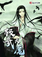武极天书