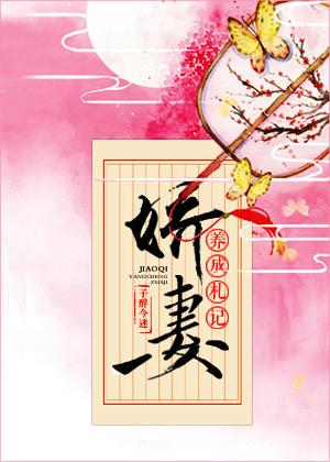 娇妻养成手册无重复