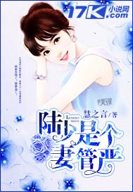 陆少宠妻实录