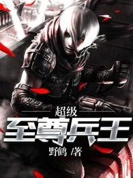 超级至尊兵王野鹤