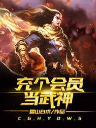 充个会员当武神TXT