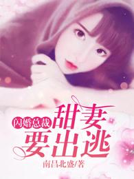 冷面总裁的落跑甜妻 南昌北盛