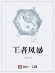 王者风暴游戏入口