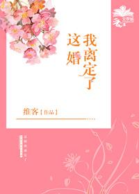 这婚我离定了讲的什么