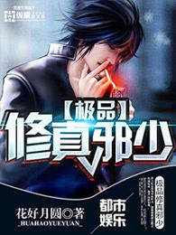 极品修真邪少叶凡百度百科