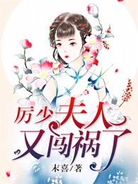 夫人又闯祸了多少字