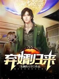 一世豪婿全集目录