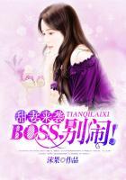 boss别闹全文免费