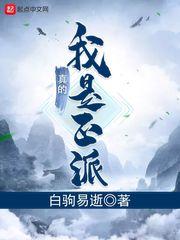 我真的是正派TXT免费