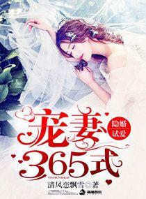 隐婚试爱电视剧
