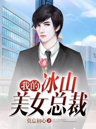 我的冰山美女总裁老婆叶帆