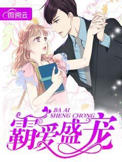男主叫陆夜丞女主沈微的