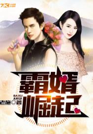 霸道女婿 林知命