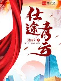 仕途青云关晓凡最新章节内容介绍