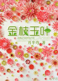 金枝玉叶扦插方法和注意事项