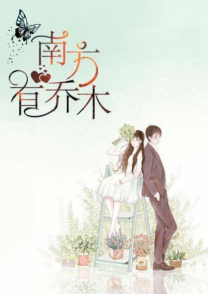 南方有乔木安宁