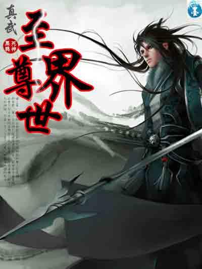 至尊真武数据