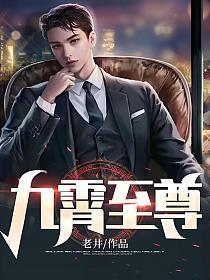 九霄至尊赵平安完整版免费阅读