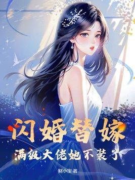 闪婚总裁替嫁妻
