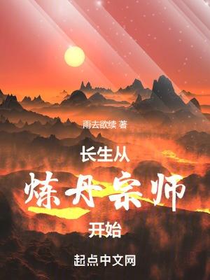 长生从炼丹宗师开始无错