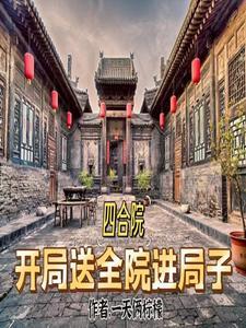 四合院开局送棒梗进监狱