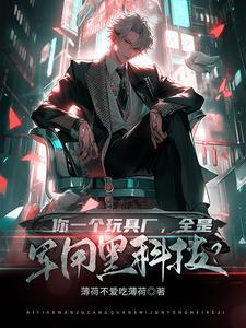 你一个玩具厂全是军用黑科技