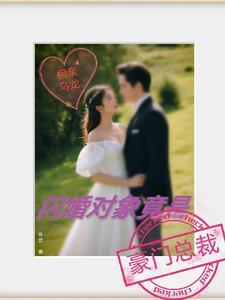 相亲闪婚言情