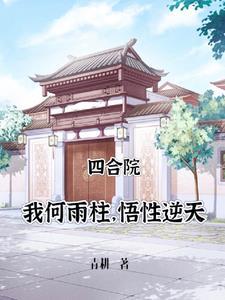 四合院 何雨柱