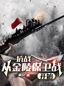 抗战从金陵保卫战开始免费阅读