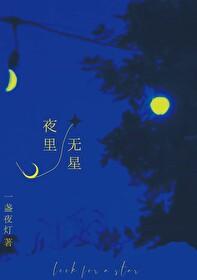 夜里无星笔趣阁