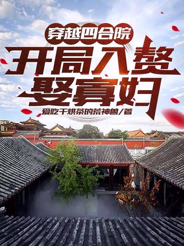 穿越四合院开局入赘娶寡妇免费