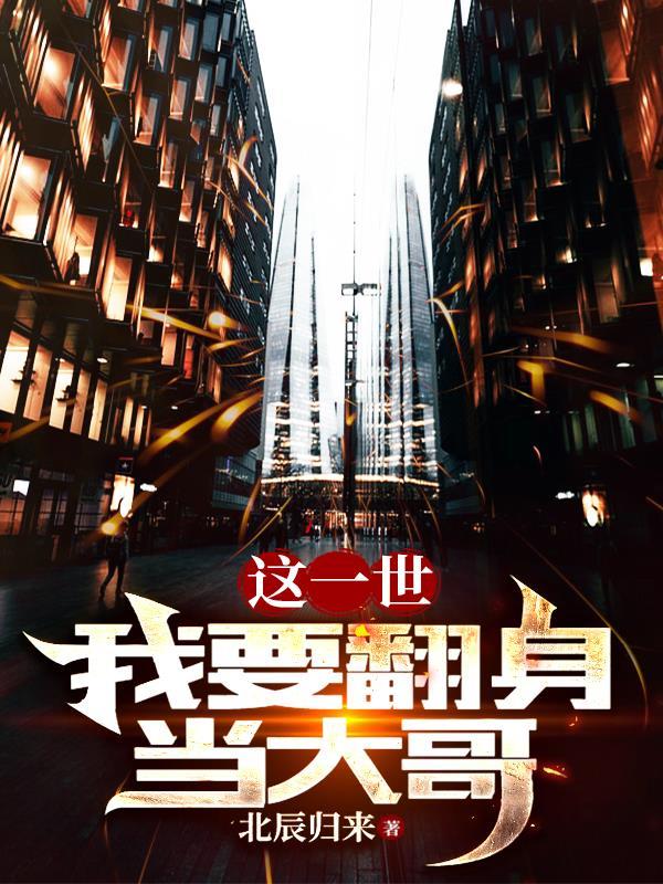 这一世我要翻身当大哥 北辰归来