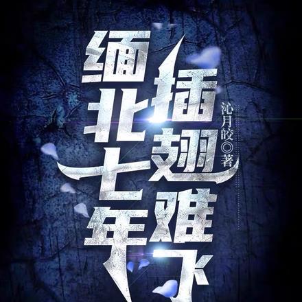 插翅难飞缅甸北部作者