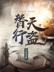 替天行盗无弹窗