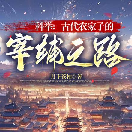 科举古代农家子的宰辅之路月下苍柏正版免费阅目录3q