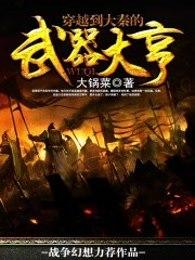 穿越到大秦的武器大亨txt