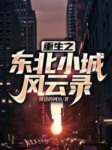重生之东北小城风云录笔趣阁