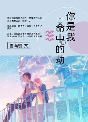 你是我命中的劫傅君墨安凝