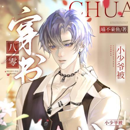 小少爷被糙汉日日宠是快穿文吗