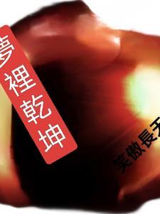 梦里乾坤圈断了